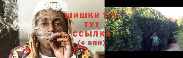 стаф Лагань