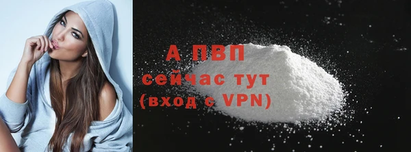 стаф Лагань