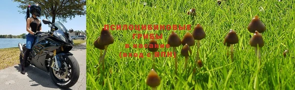 стафф Лабытнанги