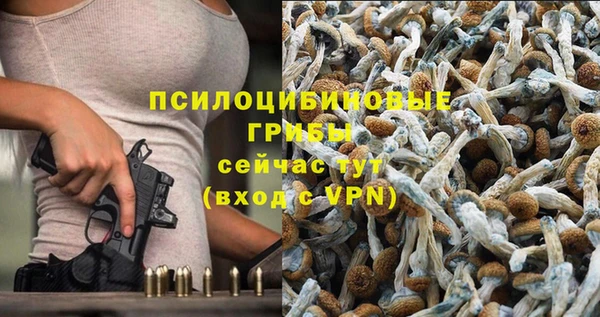 стафф Лабытнанги