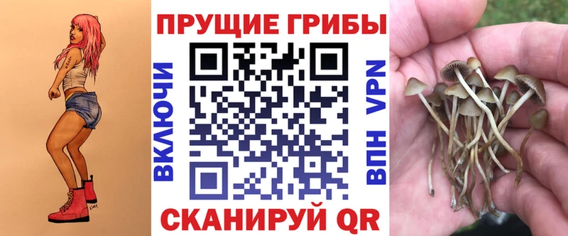 Купить закладки  Армянск  Псилоцибиновые грибы MAGIC MUSHROOMS 